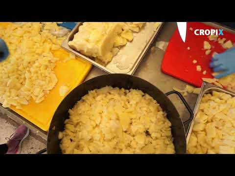 Na blagdan Svetog Dujma podijeljeno 5000 porcija janjetine s graskom