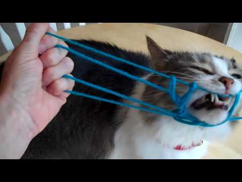 Running Dog String Figure - Step by step