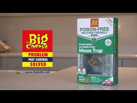 (Live Catch and Release) Ready-Baited Live Multi-Catch Mouse Trap