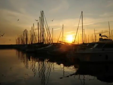 Danh Phận - Hoàng Lê Vy