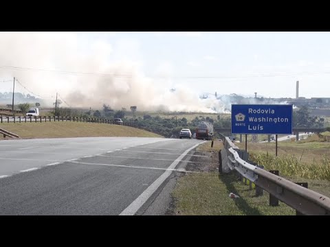 Incêndio atinge área às margens da Rodovia Washington Luís