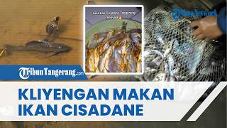 Warga Ngaku Kliyengan seusai Santap Ikan Hasil Tangkapan di Sungai Cisadane yang Tercemar Limbah