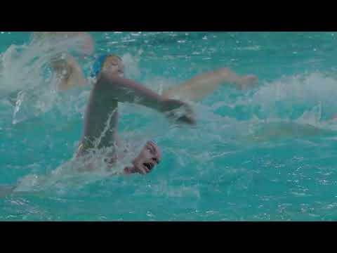 12. kolo LEN Lige Šampiona, VK Novi Beograd - VK Jadran 14:7