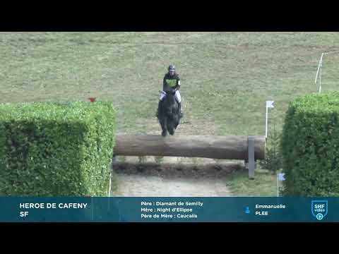 HEROE DE CAFENY - Selle Français 2017 ,  DIAMANT DE SEMILLY