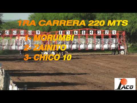 CHICO 10 HIPODROMO PANGARE 20 02 2022