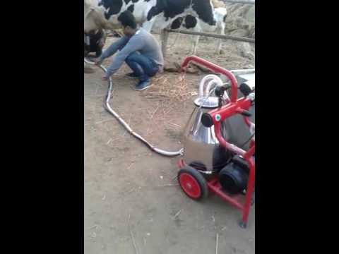 Trolley Milking Machine