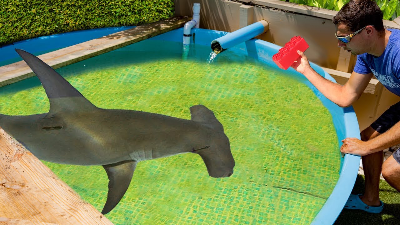 LEGO Catches Giant Sea Monster