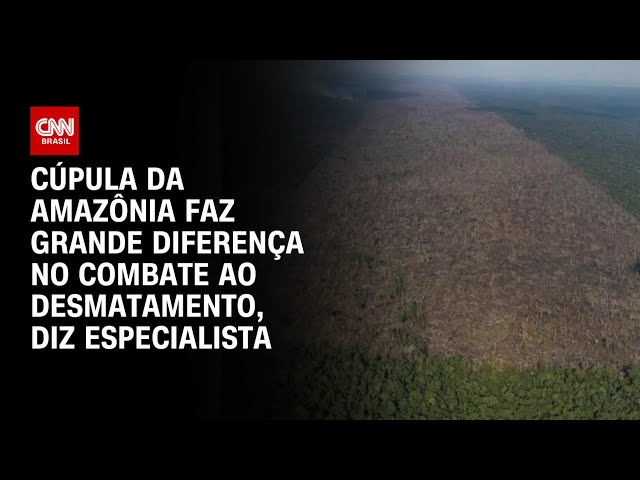 Cúpula da Amazônia faz grande diferença no combate ao desmatamento, diz especialista | CNN 360º