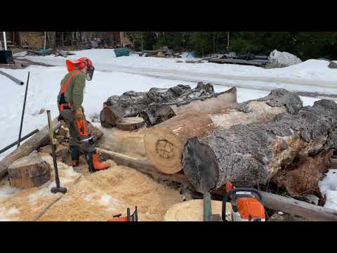 The Making of a Log Hive - Pölkkypesä 2022