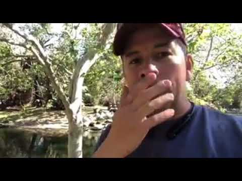 Não entendi nada - O Brasil que eu quero #engraçado