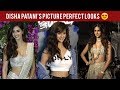 Disha Patani S Picture Perfect Looks Pinkvilla Raw Bollywood