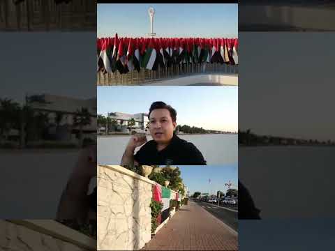 What is Dubai Celebrating Now ? #dubai #dubaibusiness #dubailife #shorts #viral #shortvideo — Spectronix YouTube Short