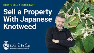 Selling House with Japanese Knotweed - What to look out for ( Part 6/12 )