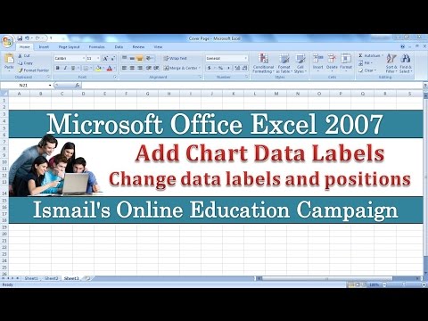 How to Add Data Labels on Chart Column in Excel 2007...