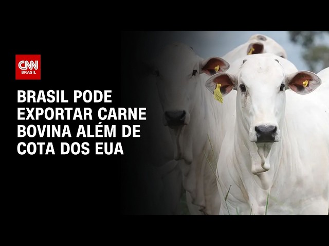Brasil pode exportar 120 mil toneladas de carne bovina extra cota dos EUA | CNN AGRO NEWS