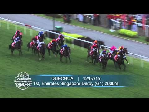 Longines Singapore Gold Cup 2015 Contenders (Quechua)