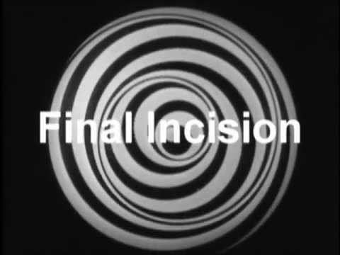 Final Incision - Lady Parasyte (feat. DJ T-1000)
