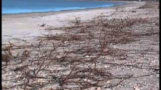 preview picture of video 'Hillside Beach Storm 2010 Damage'