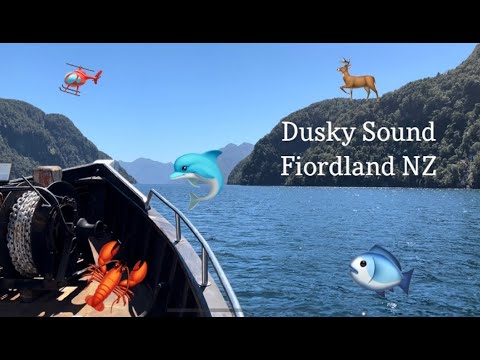 Fishing/Hunting/Diving the Dusky Sounds with Cruise Fiordland
