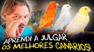 Miniatura do vídeo