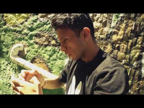 Mr. VIK - Brasil Tropical (Official Video) TETA