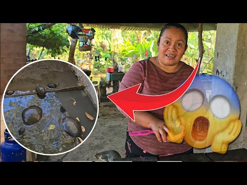 Doña Maura's Hidden Secret, Everything Came to Light