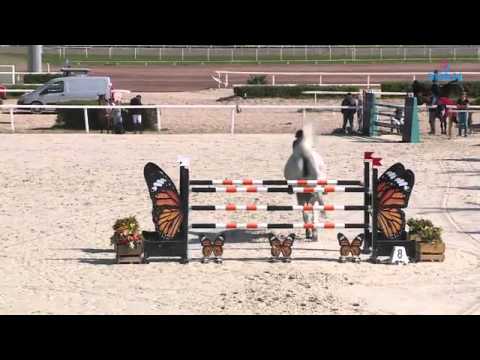 Censation du Ry z - Marc Mcauley - CSI3* 150 Cagnes sur mer