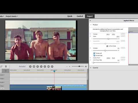 Basic Training for Premiere Elements 2021, Part 6 of 8