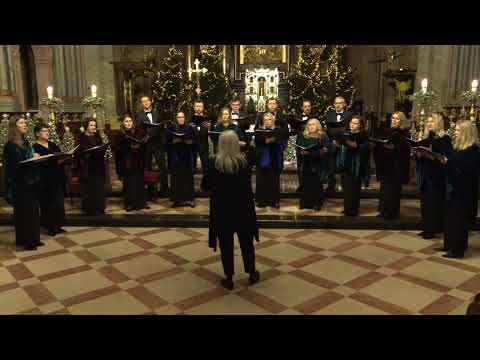 Betlejemskie pole śpi - CUM SANCTIS