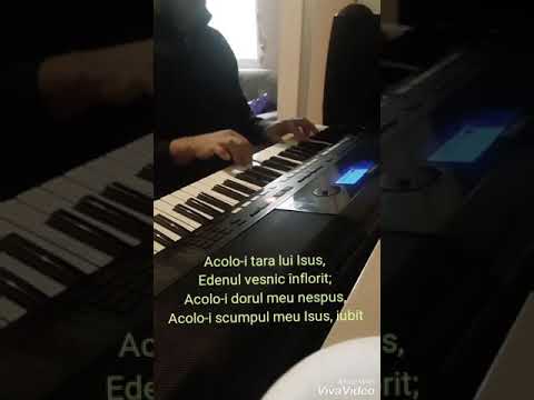 Demult astept edenul paci la orga ... psr e 433