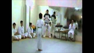 preview picture of video 'Nuova Athlon Karate - Esame Cintura Verde - San Pancrazio Salentino (BR)'
