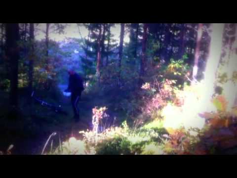 Skogssvensken/Cykelsvensken