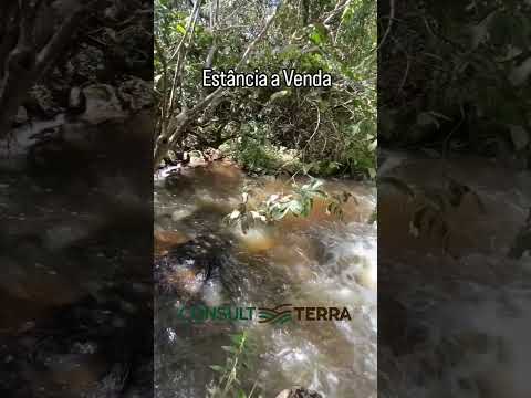Hotel Fazenda.                                    Temos uma estância turística a venda em Jacui-MG