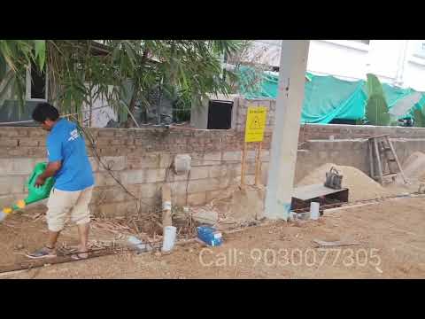 Wasp Pest Control Services