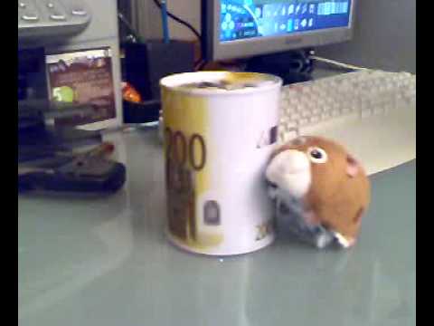 Il criceto ballerino