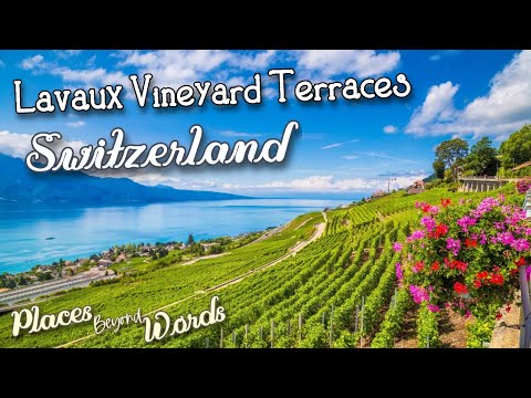 Lavaux: Switzerland's Wine Paradise