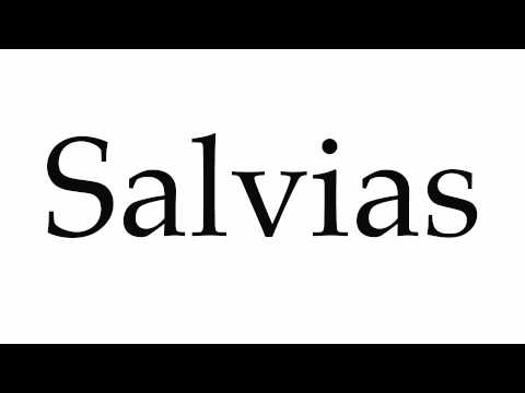 How to Pronounce Salvias
