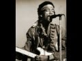 Jimi Hendrix Forever - Third Stone from the Sun