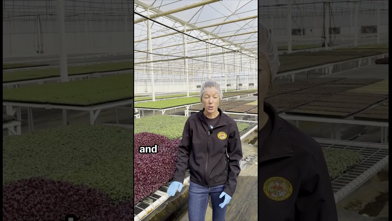 🌱🤖 Ag-Tech in Action in Goodyear, AZ! 🚜✨ #agtech #farming #farmsmart #foodeducation