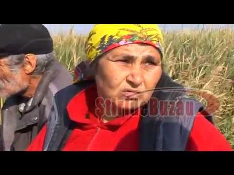 Buzau, the Ziduri crime