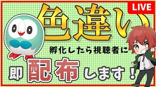 色違いモクロー孵化したら配布します【ポケモンSV】孵化余り配布しながら