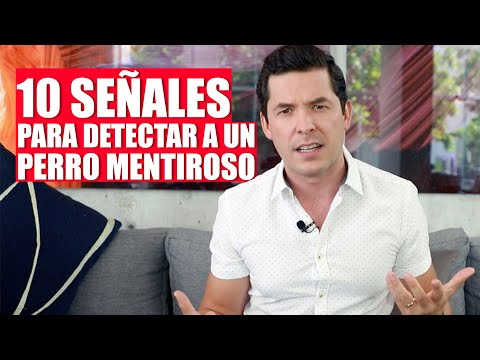 ¡CUIDADO! 10 SEÑALES PARA DETECTAR CUANDO UN HOMBRE MIENTE - JORGE LOZANO H.