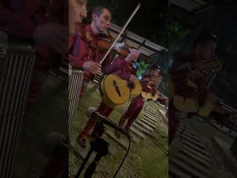 ¡MARIACHIS A DOMICILIO EN CAÑASGORDAS! 🎺 MARIACHI RANCHERO 📲 +57 3105956168