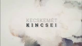 KECSKEMÉT KINCSEI - Leskowszky hangszergyűjtemény: Samiszen