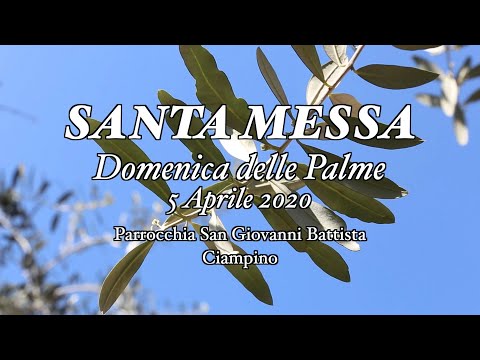 SANTA MESSA della DOMENICA DELLE PALME - 05/04/2020 - Parrocchia SGB Ciampino