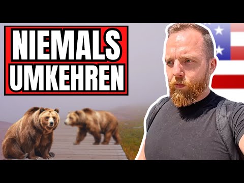 Adventures in the Land of Grizzly Bears | Montana USA