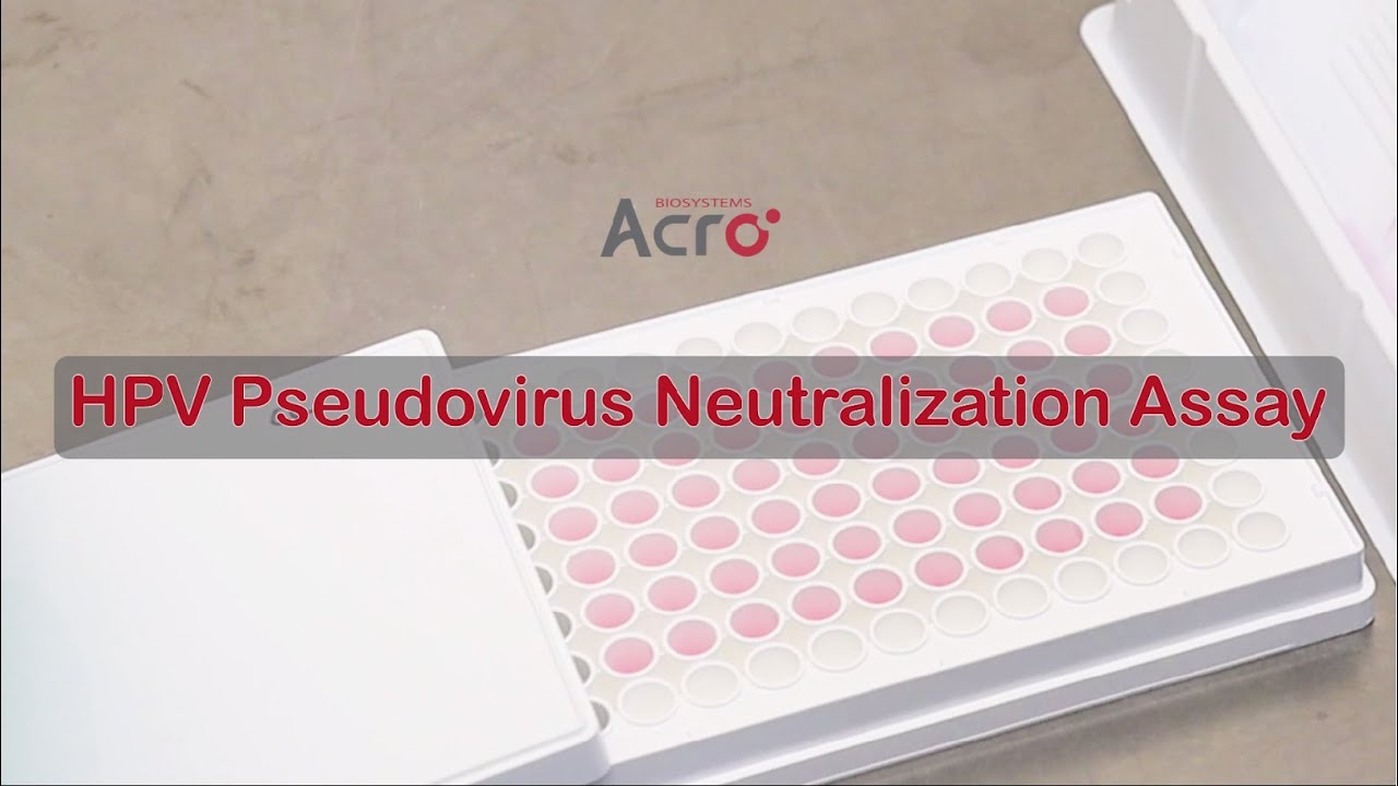 HPV Pseudovirus Neutralization Assay