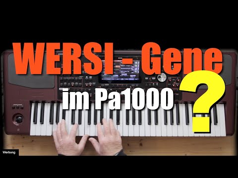 KORG Pa1000 - WERSI-Gene im Pa? #140