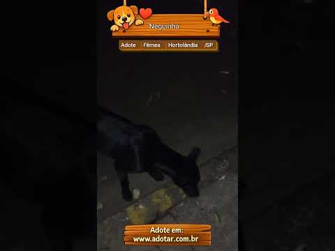 Vídeo de Neguinha