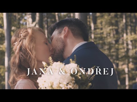 Náhled pro video reference